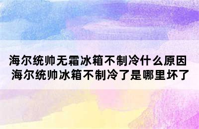 海尔统帅无霜冰箱不制冷什么原因 海尔统帅冰箱不制冷了是哪里坏了